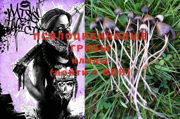 PSILOCYBIN Коряжма