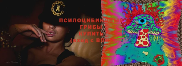 винт Костерёво