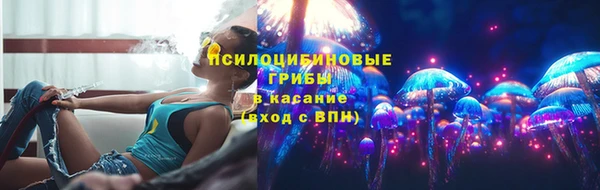 винт Костерёво