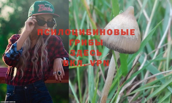 PSILOCYBIN Коряжма