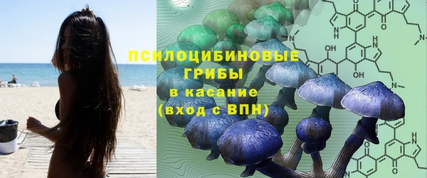 МДПВ Корсаков
