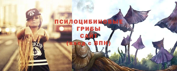 МДПВ Корсаков