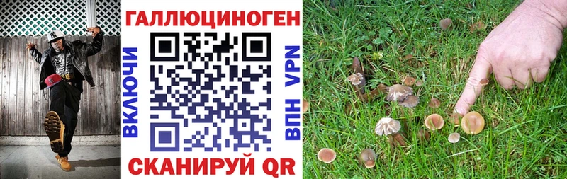 Псилоцибиновые грибы GOLDEN TEACHER  Купить закладки  Лодейное Поле 